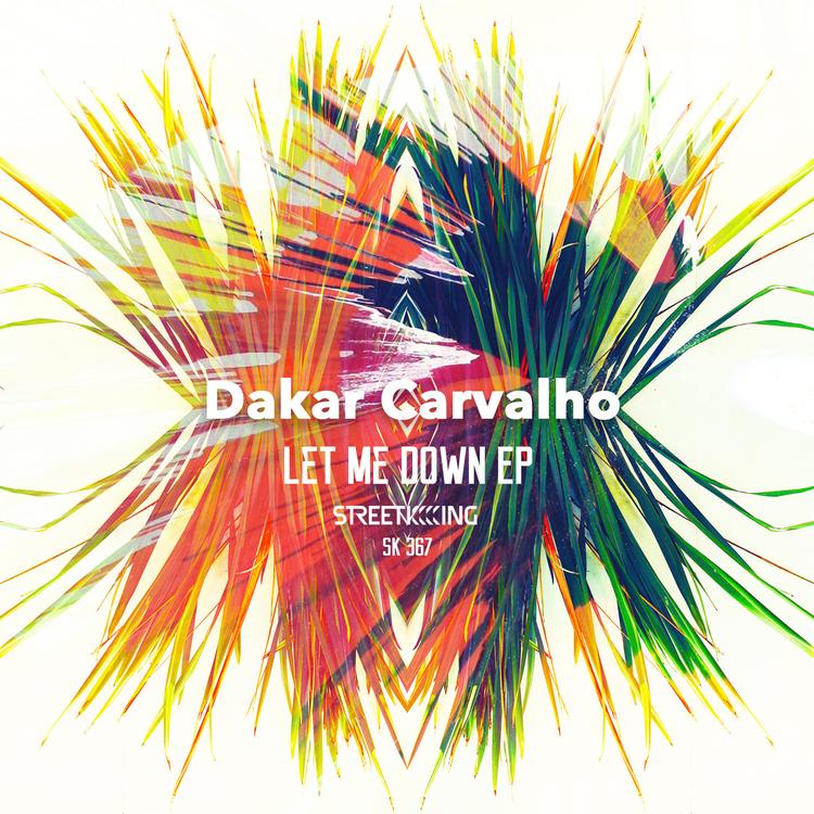 Dakar Carvalho's avatar image