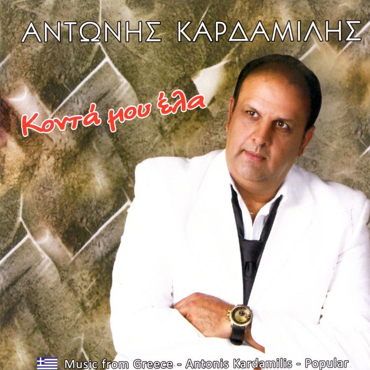 Antonis Kardamilis's avatar image