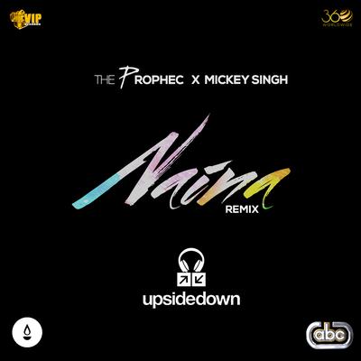 Naina (Upsidedown Remix)'s cover