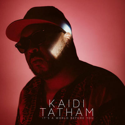 Your Dreams Don't Mean a Thing By Kaidi Tatham's cover
