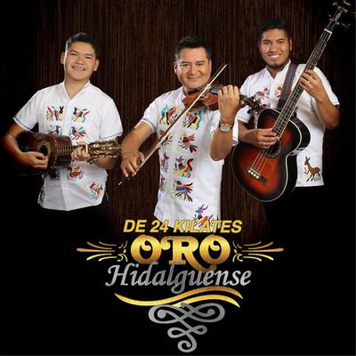 Oro Hidalguense's cover