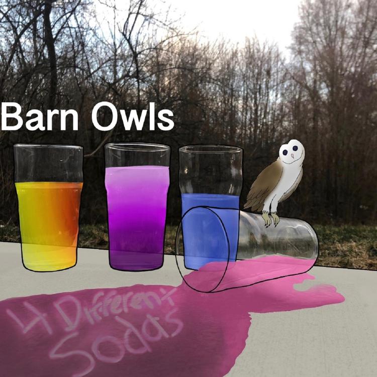 Barn Owls's avatar image