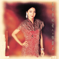 Teresa Teng Li-Chun's avatar cover