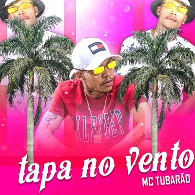 Tapa no Vento By Mc Tubarão's cover