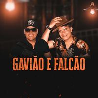 Gavião e Falcão's avatar cover