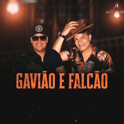 Gavião e Falcão's cover