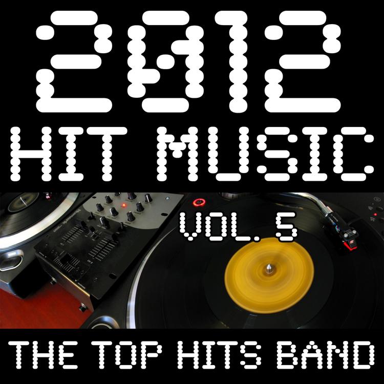 The Top Hits Band's avatar image