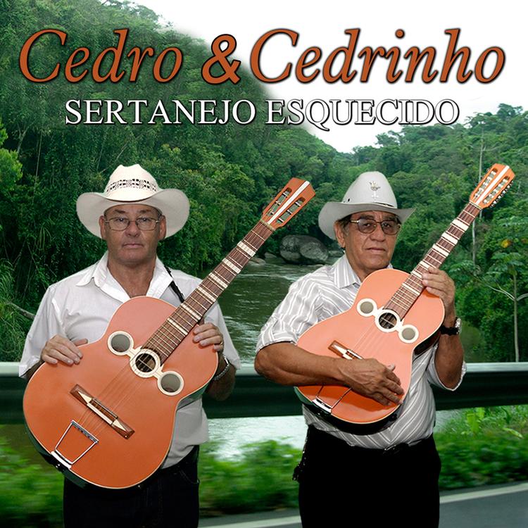 Cedro & Cedrinho's avatar image