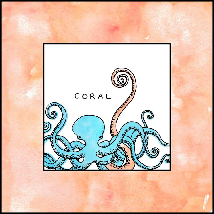 Coral 9's avatar image