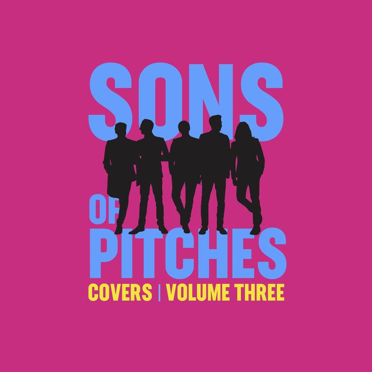The Sons of Pitches's avatar image