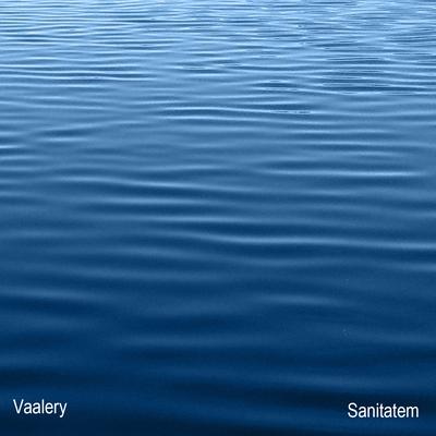 Sanitatem By Vaalery's cover