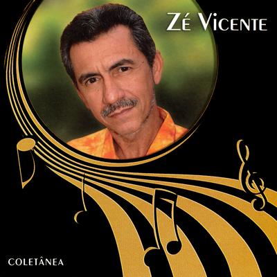 É Bonita Demais By Zé Vicente's cover