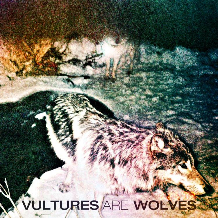 Vultures Are Wolves's avatar image