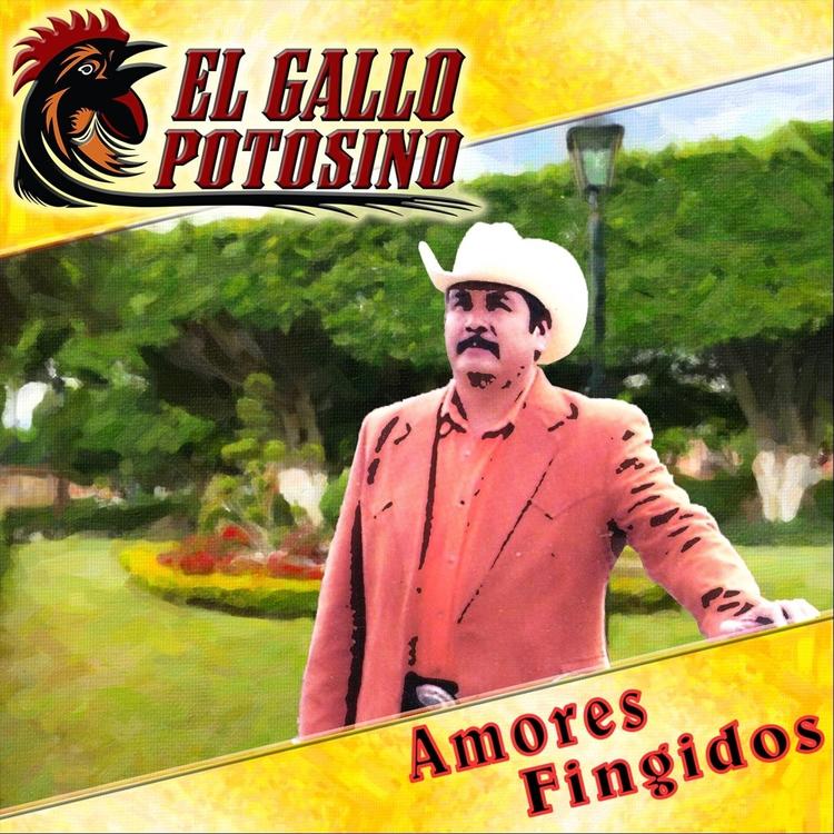 El Gallo Potosino's avatar image