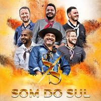 Grupo Som do Sul's avatar cover