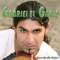Gabriel Elgarib's avatar cover