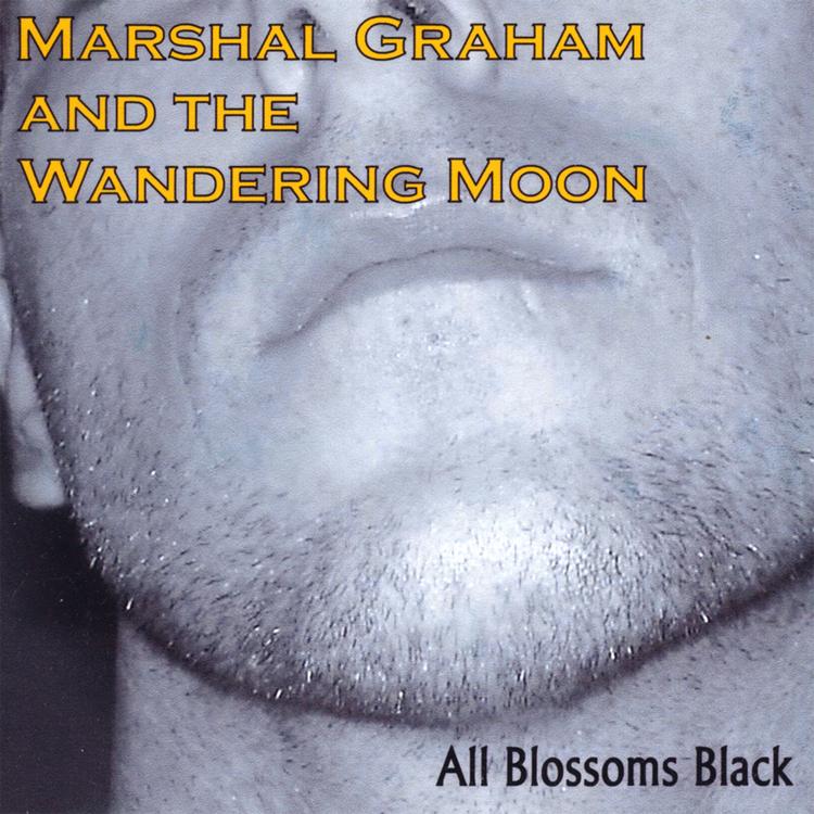 Marshal Graham and the Wandering Moon's avatar image