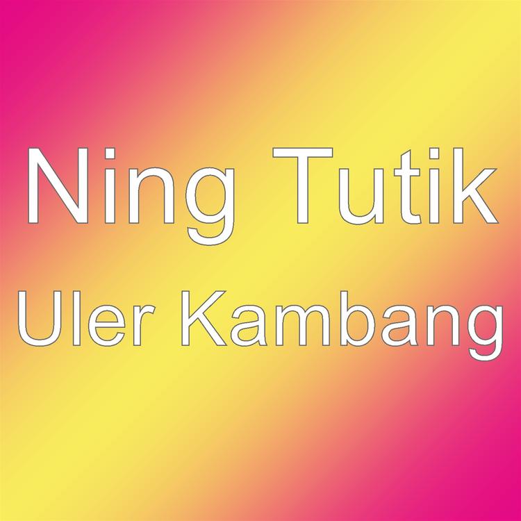 Ning Tutik's avatar image