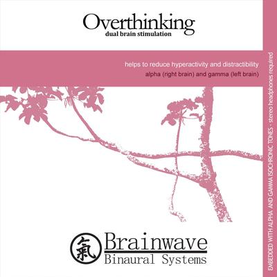 Overthinking: Dual Brain Stimulation By Brainwave Binaural Systems's cover