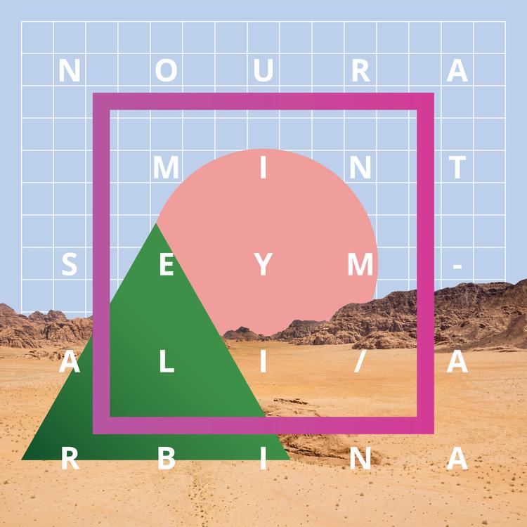 Noura Mint Seymali's avatar image