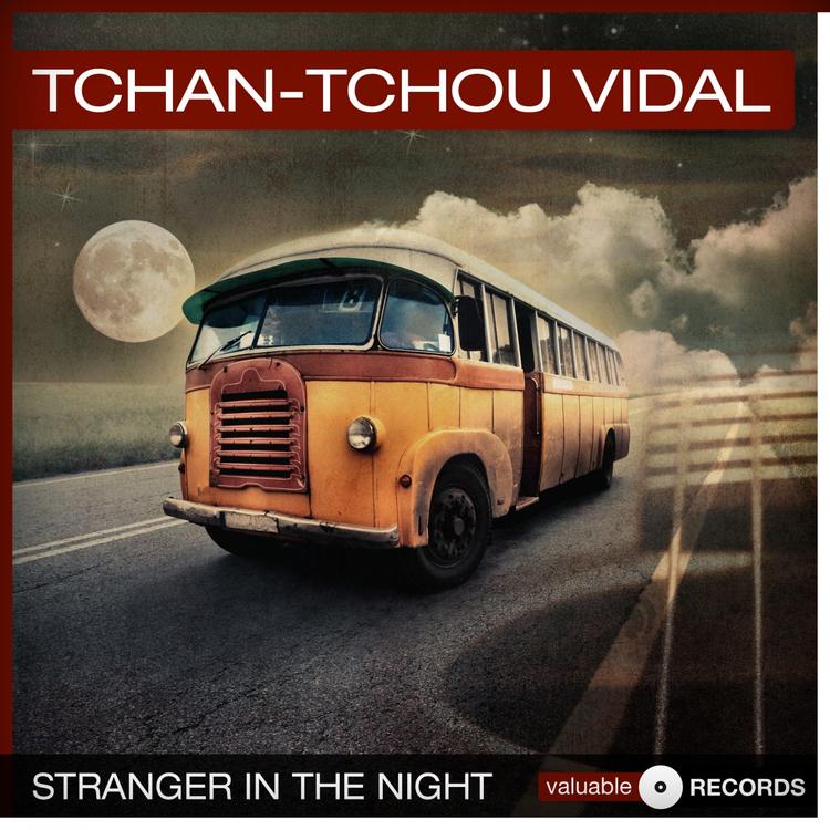 Tchan-Tchou Vidal's avatar image