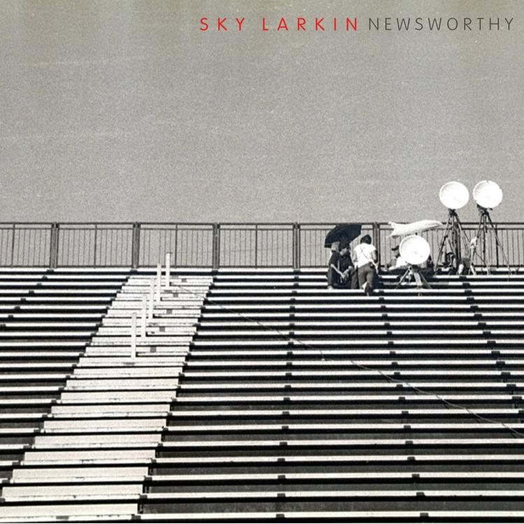 Sky Larkin's avatar image