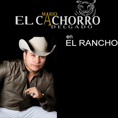 El Rancho's cover