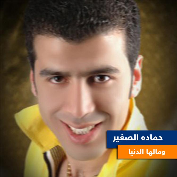 Hamada El Sagheer's avatar image