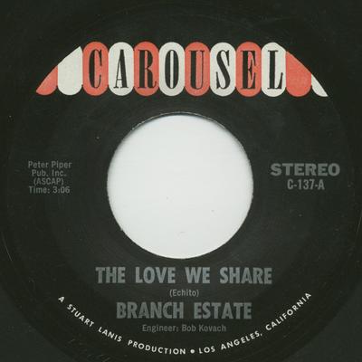 The Love We Share By Branch Estate's cover