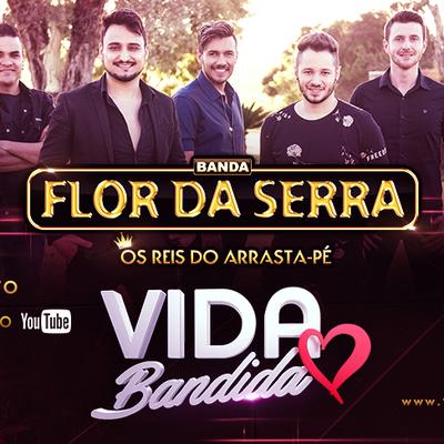 Banda Flor Da Serra's cover