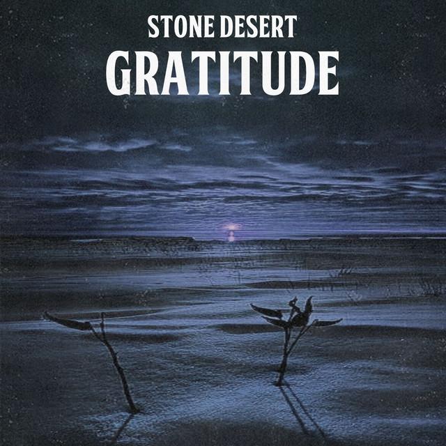 Stone Desert's avatar image