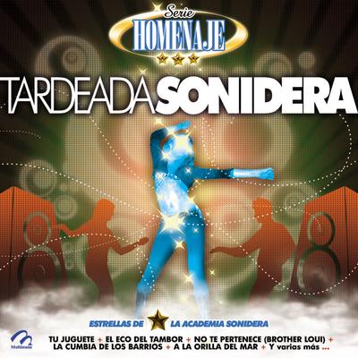 Estrellas De La Academia Sonidera's cover