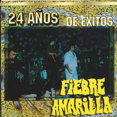 24 Anos de Exitos's cover