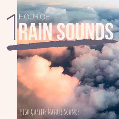 1 Hour of Rain Sounds: High Quality Nature Sounds's cover