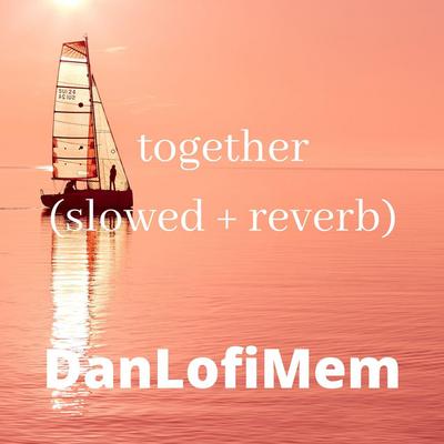 DanLofiMem's cover