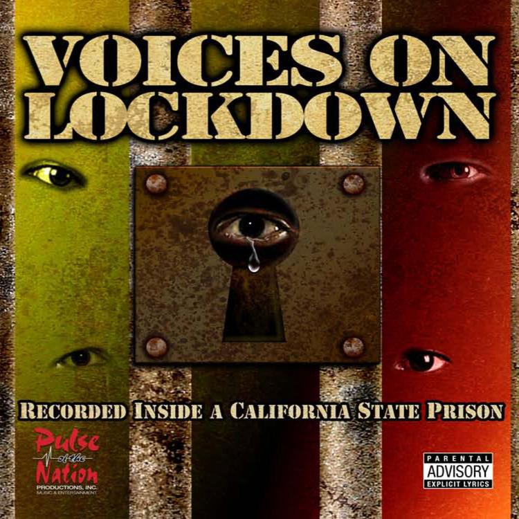 Voices on Lockdown's avatar image