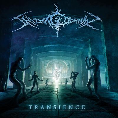 Transience By Shylmagoghnar's cover