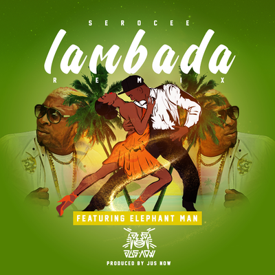 Lambada Remix (feat. Elephant Man)'s cover