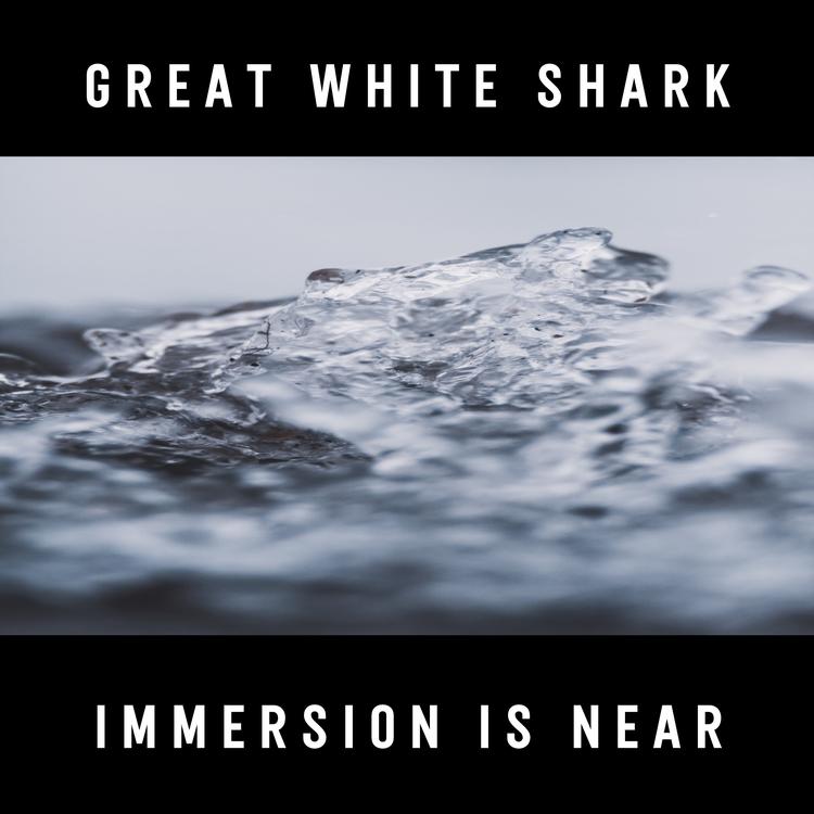 Great White Shark's avatar image