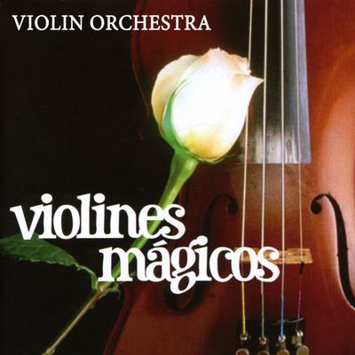 Violin Orchestra's cover