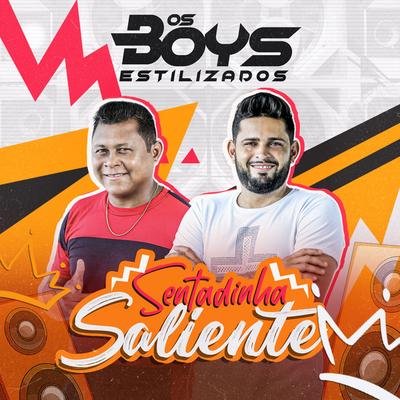 Os Boys Estilizados's cover