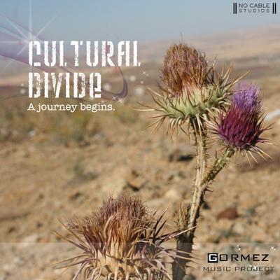 Cultural Divide | 2010's cover