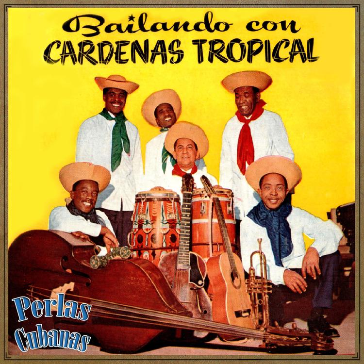 Cardenas Tropical's avatar image