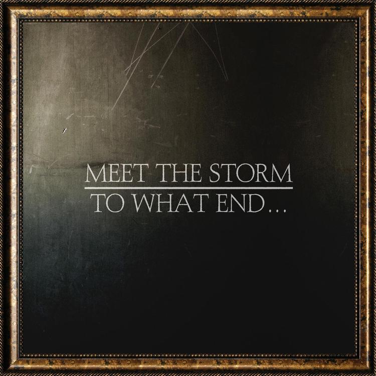 Meet The Storm's avatar image