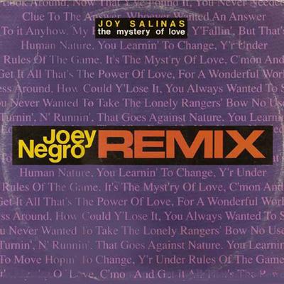The Mystery of Love (Joey Negro Club Mix) By Joy Salinas, Joey Negro's cover