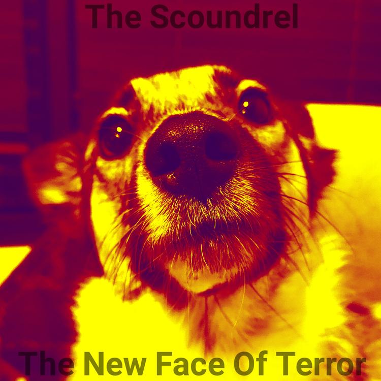 The Scoundrel's avatar image