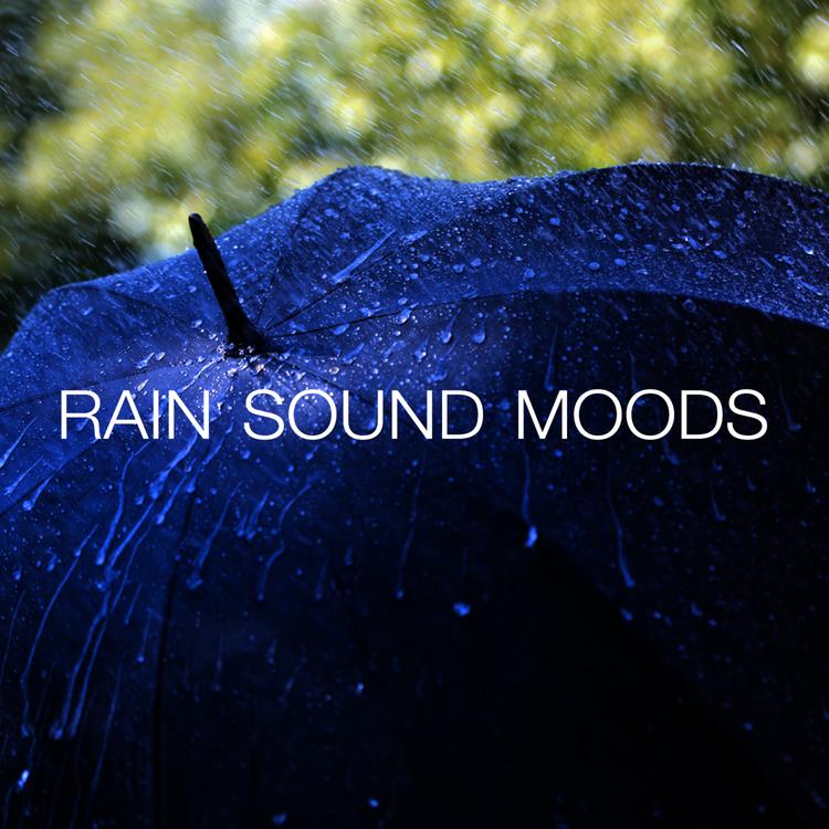 Rain Sound Moods's avatar image