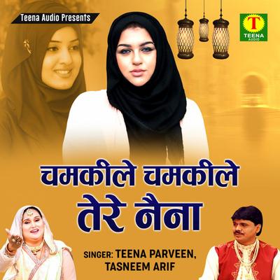 Teena Parveen's cover