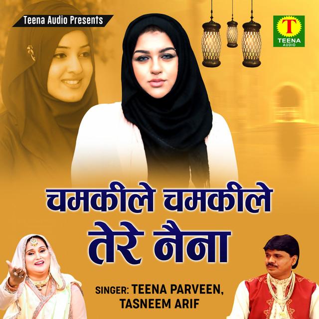 Teena Parveen's avatar image