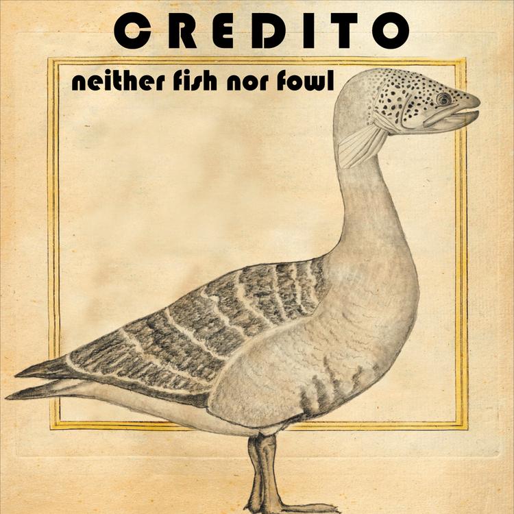 Credito's avatar image